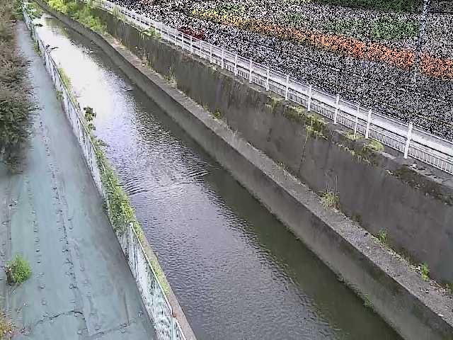 二ヶ領本川 長尾橋付近のカメラ画像