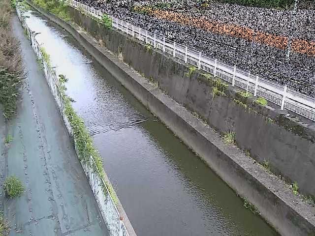 長尾橋付近のカメラ画像