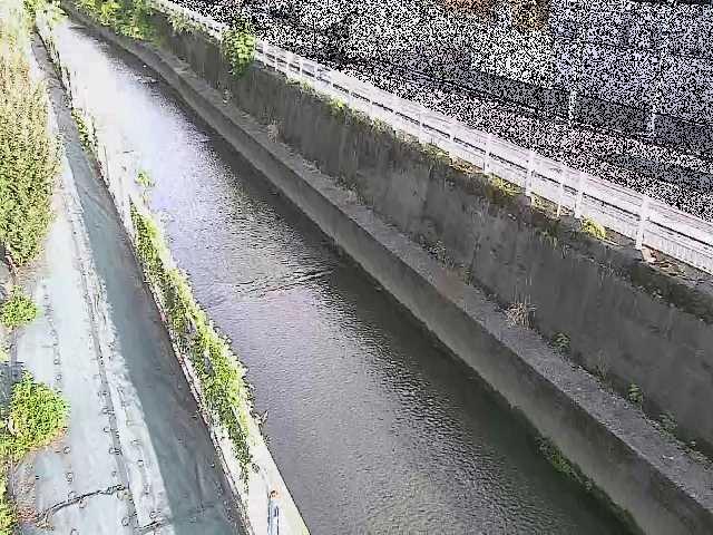 二ヶ領本川 長尾橋付近のカメラ画像
