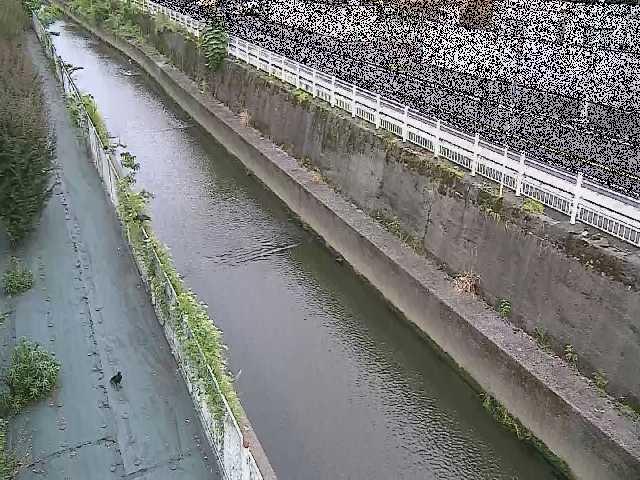 長尾橋付近のカメラ画像