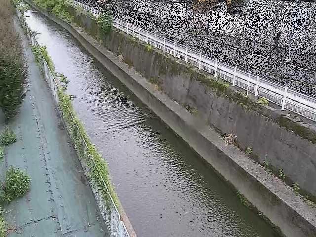 二ヶ領本川 長尾橋付近のカメラ画像