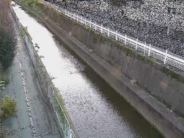 二ヶ領本川 長尾橋付近のカメラ画像