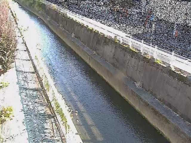 長尾橋付近のカメラ画像