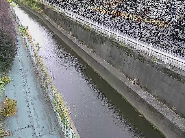 二ヶ領本川 長尾橋付近のカメラ画像