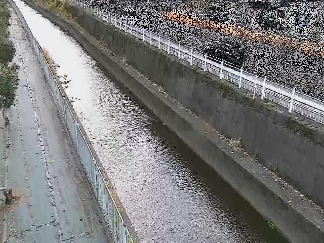 長尾橋付近のカメラ画像