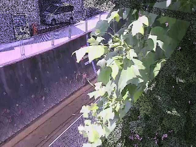 栄橋付近のカメラ画像