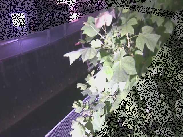 栄橋付近のカメラ画像