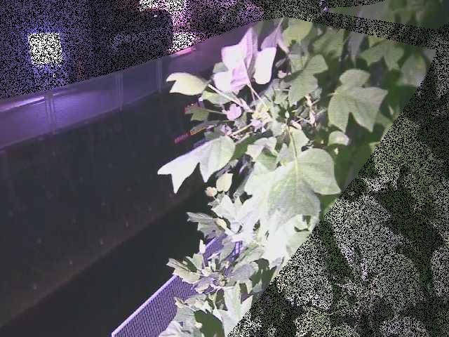 栄橋付近のカメラ画像