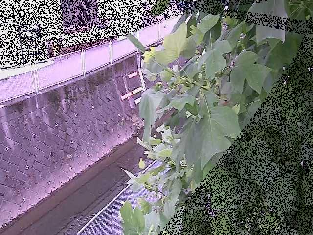 栄橋付近のカメラ画像