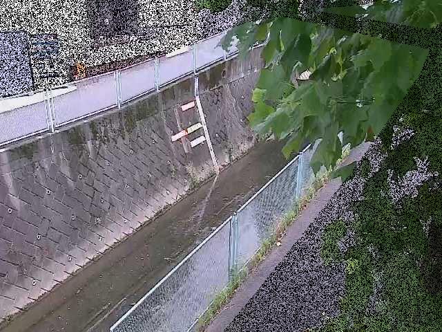 栄橋付近のカメラ画像