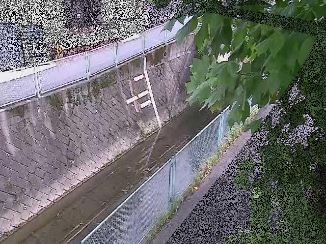 栄橋付近のカメラ画像