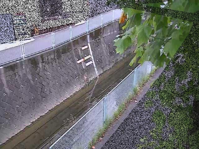 栄橋付近のカメラ画像