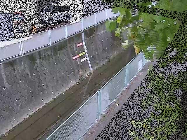 五反田川 栄橋付近のカメラ画像