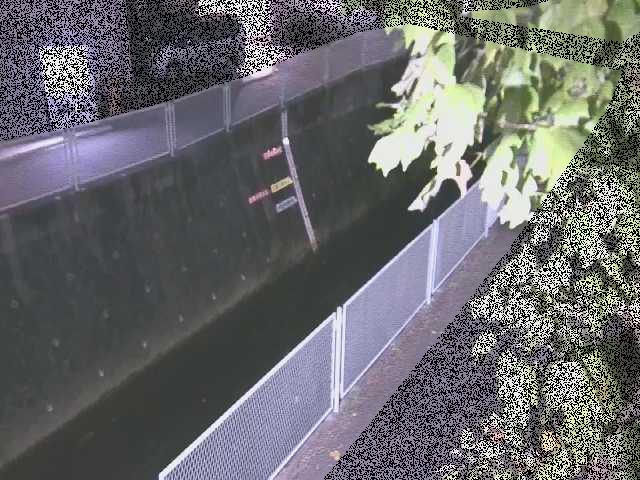 五反田川 栄橋付近のカメラ画像