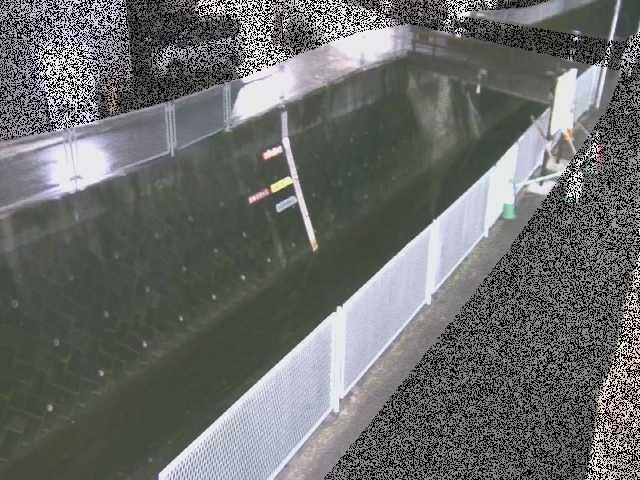 五反田川 栄橋付近のカメラ画像