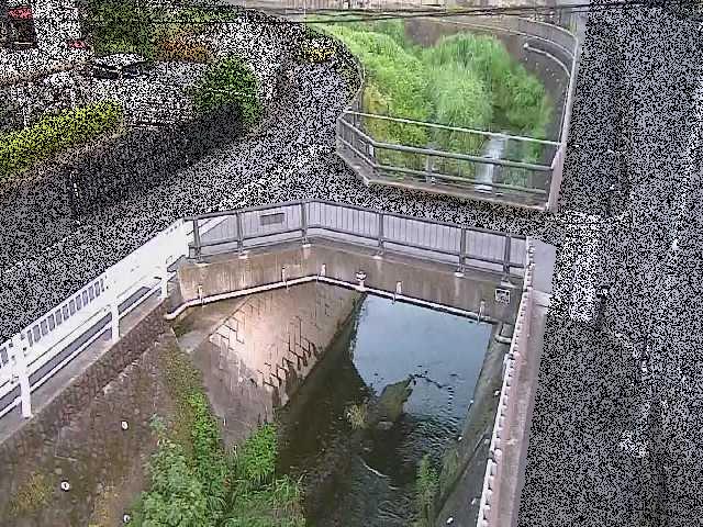 あゆみ橋付近のカメラ画像