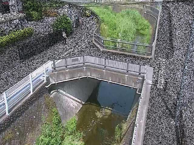 あゆみ橋付近のカメラ画像