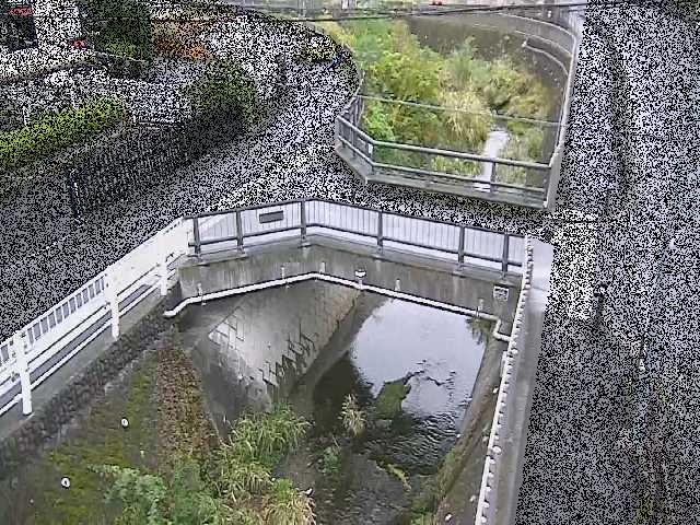 平瀬川支川 あゆみ橋付近のカメラ画像