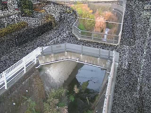 あゆみ橋付近のカメラ画像