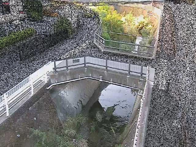 あゆみ橋付近のカメラ画像