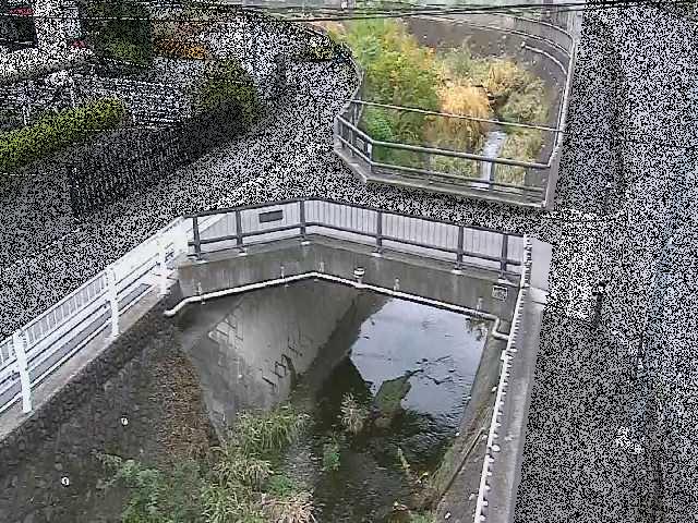 平瀬川支川 あゆみ橋付近のカメラ画像