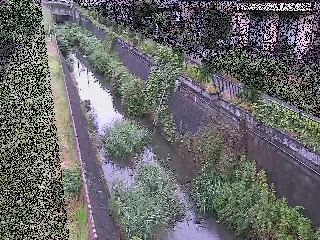 矢崎橋付近のカメラ画像