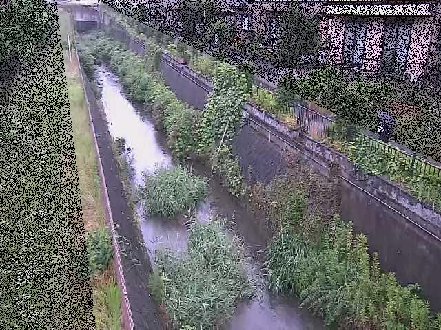矢崎橋付近のカメラ画像