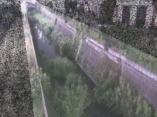 真光寺川 矢崎橋付近のカメラ画像