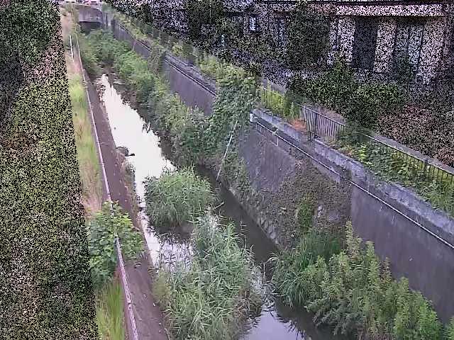 真光寺川 矢崎橋付近のカメラ画像