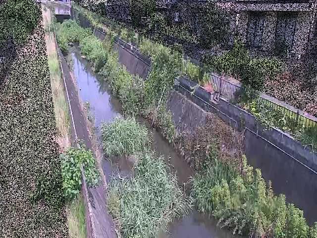 矢崎橋付近のカメラ画像