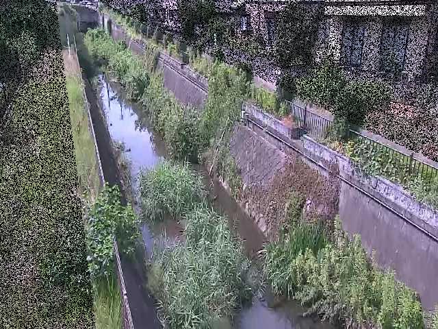 真光寺川 矢崎橋付近のカメラ画像