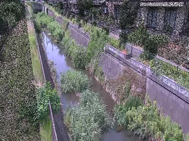 真光寺川 矢崎橋付近のカメラ画像