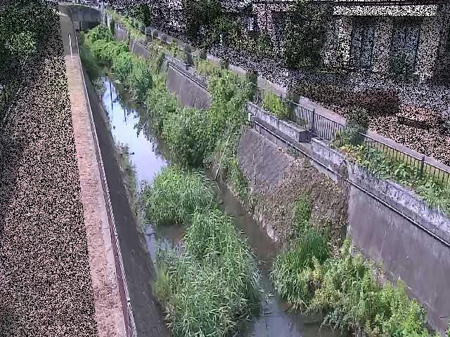 真光寺川 矢崎橋付近のカメラ画像