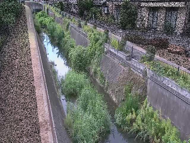 矢崎橋付近のカメラ画像