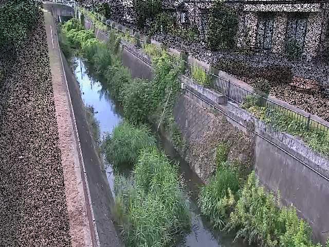 矢崎橋付近のカメラ画像