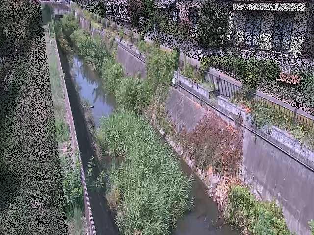 真光寺川 矢崎橋付近のカメラ画像