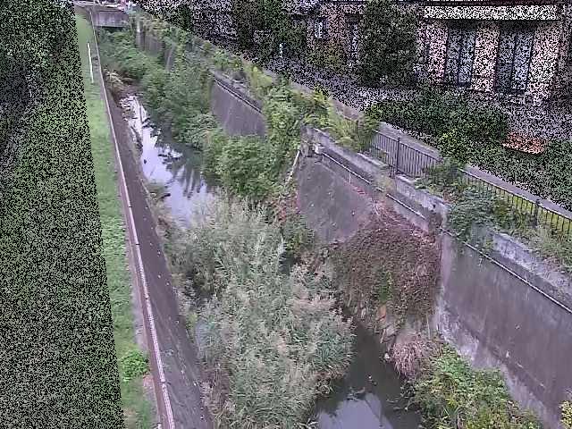 真光寺川 矢崎橋付近のカメラ画像