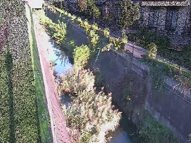 真光寺川 矢崎橋付近のカメラ画像
