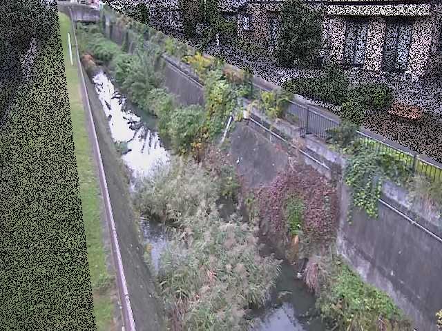 真光寺川 矢崎橋付近のカメラ画像