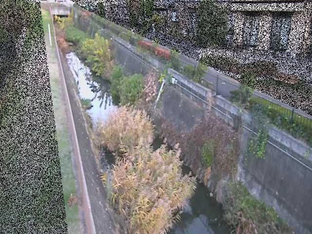 矢崎橋付近のカメラ画像