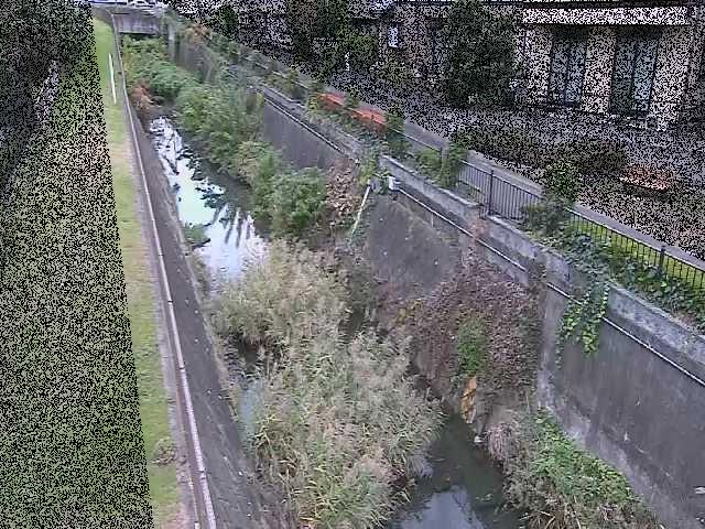 真光寺川 矢崎橋付近のカメラ画像