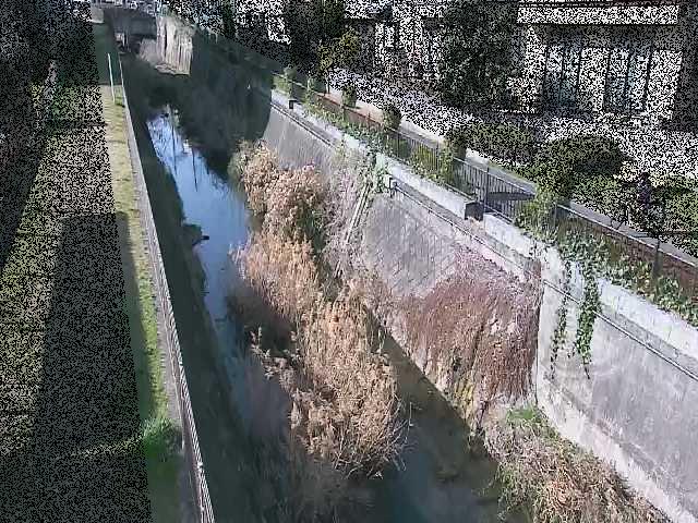矢崎橋付近のカメラ画像