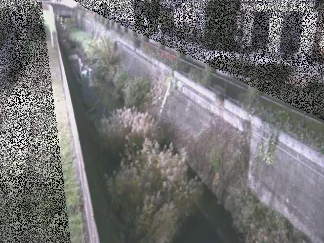 真光寺川 矢崎橋付近のカメラ画像