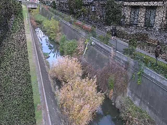 矢崎橋付近のカメラ画像