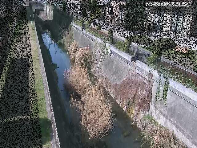 矢崎橋付近のカメラ画像