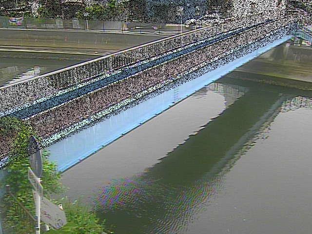 鷹取川 鷹取川人道橋付近のカメラ画像
