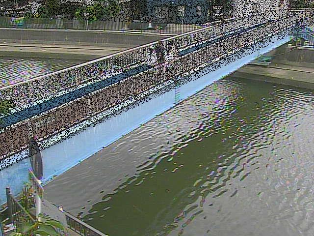 鷹取川 鷹取川人道橋付近のカメラ画像