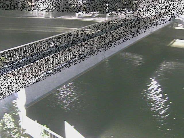 鷹取川 鷹取川人道橋付近のカメラ画像