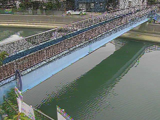 鷹取川 鷹取川人道橋付近のカメラ画像