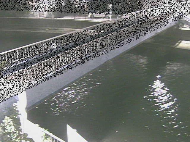 鷹取川 鷹取川人道橋付近のカメラ画像